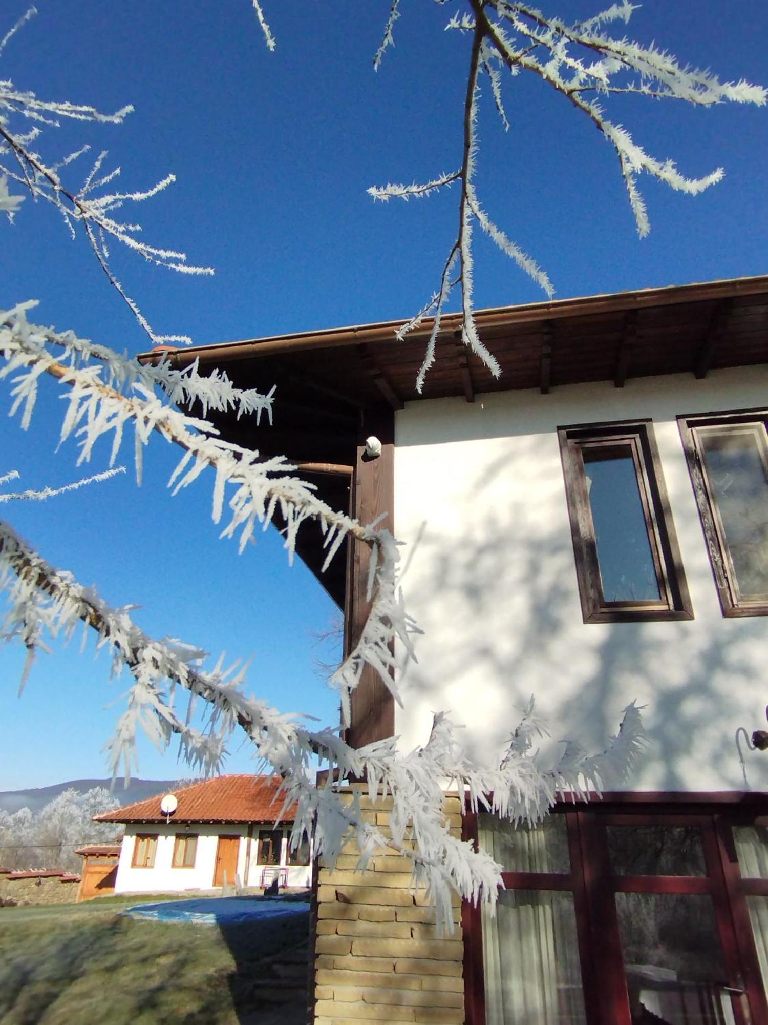 Бор И Шишарка Varzilkovtsi Exterior photo